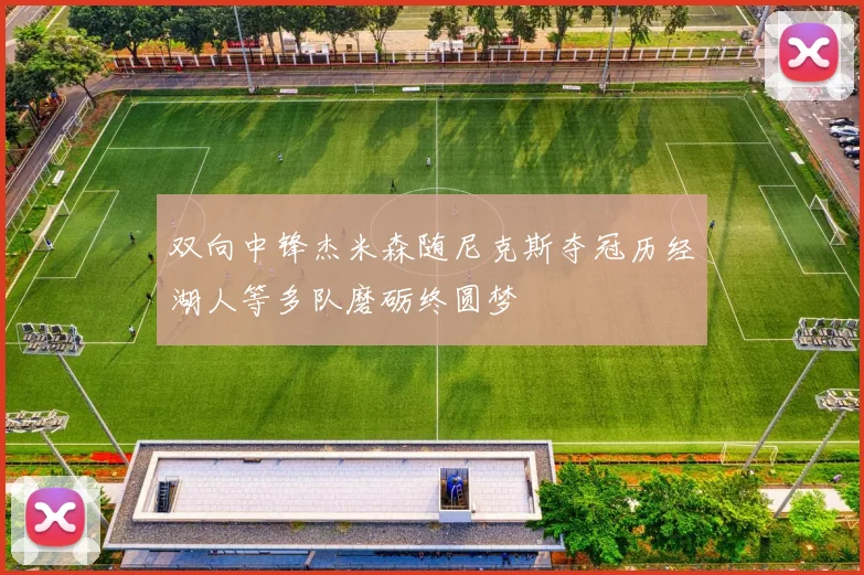 双向中锋杰米森随尼克斯夺冠历经湖人等多队磨砺终圆梦